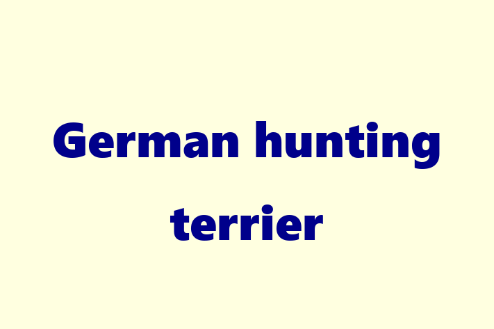 Adopt a German hunting terrier Dog in Northolt