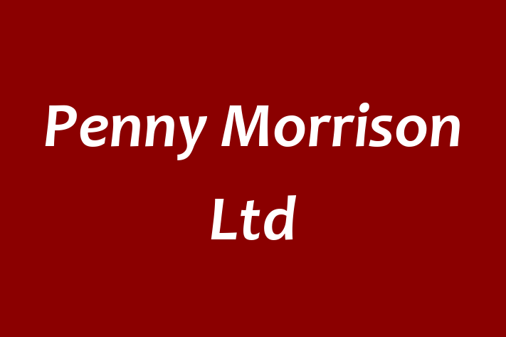 Penny Morrison Ltd