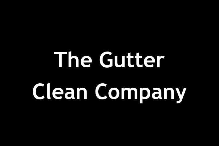 The Gutter Clean Company