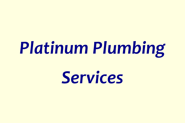 Platinum Plumbing Services