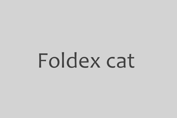 Meet Your New Foldex cat Cat in Kendal