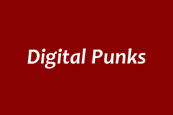 Digital Punks