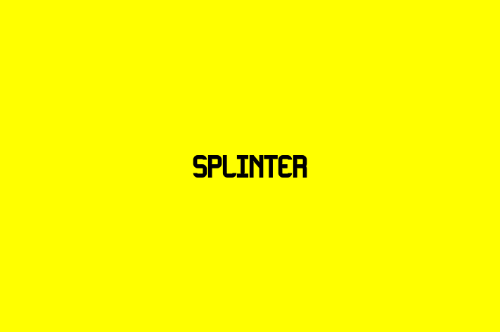 Splinter