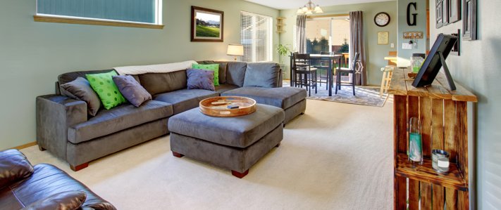 Healthy Home Carpet Cleaning