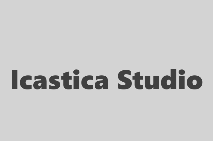 Icastica Studio