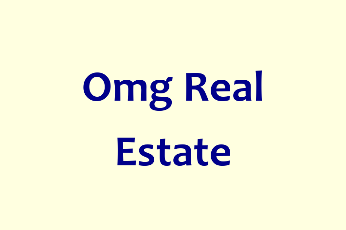 Omg Real Estate