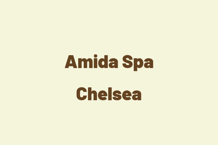 Amida Spa Chelsea