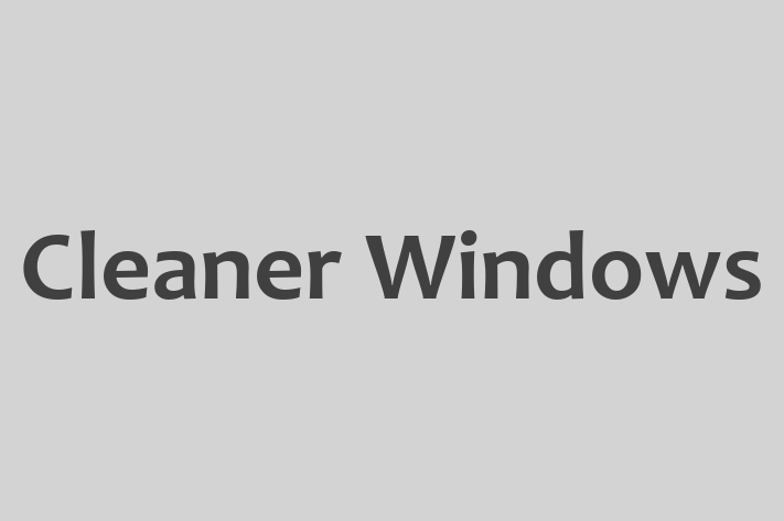 Cleaner Windows