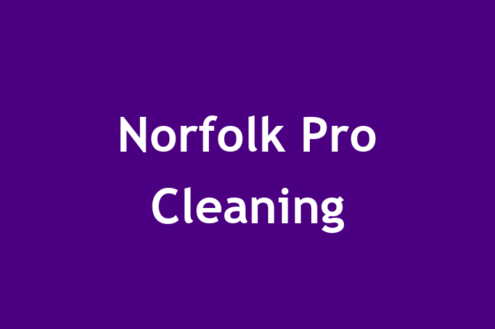 Norfolk Pro Cleaning