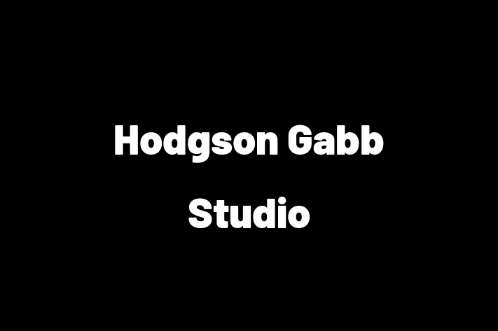 Hodgson Gabb Studio