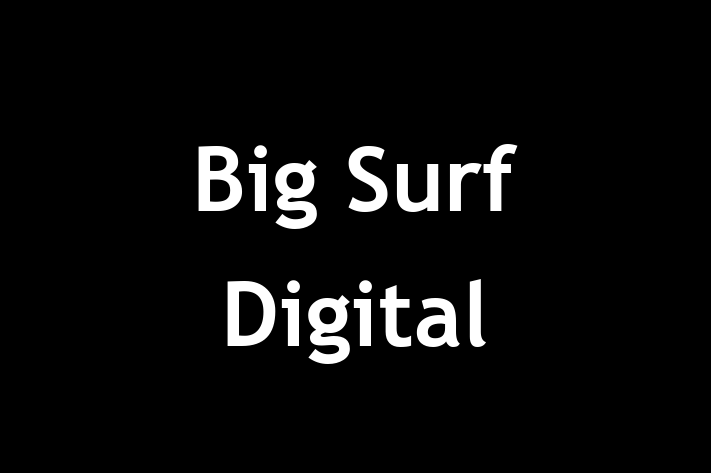 Big Surf Digital