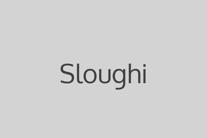 Sloughi Dog Available Now in City of London