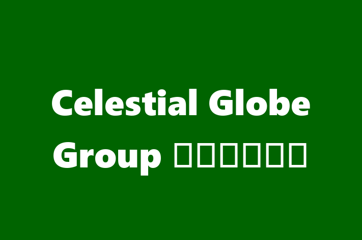 Celestial Globe Group 英国天际集团