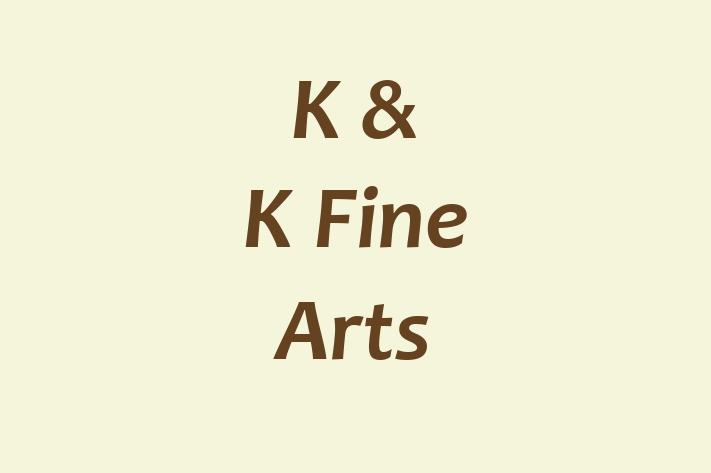 K & K Fine Arts