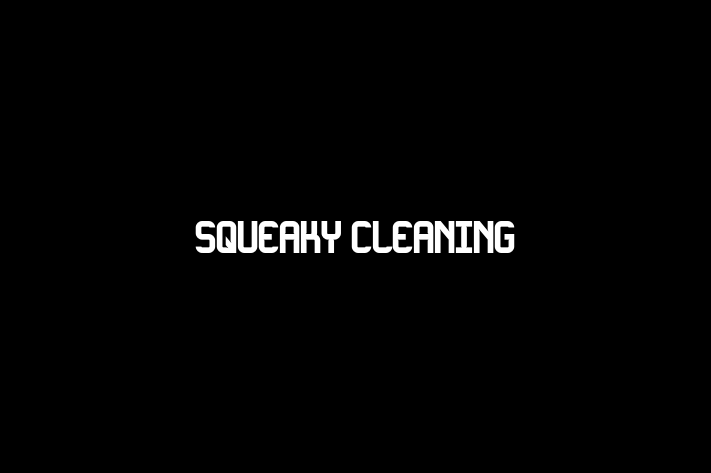 Squeaky Cleaning