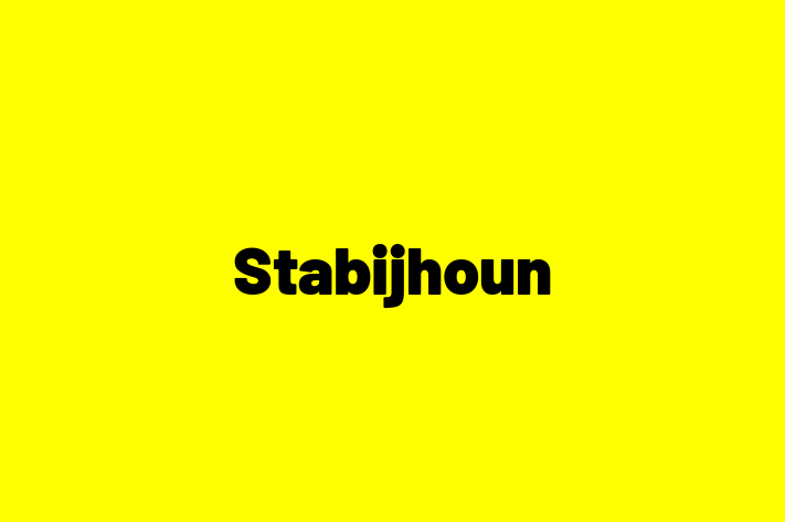 Stabijhoun Dog Available Now in Southall