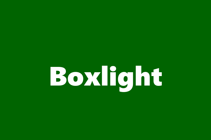 Boxlight