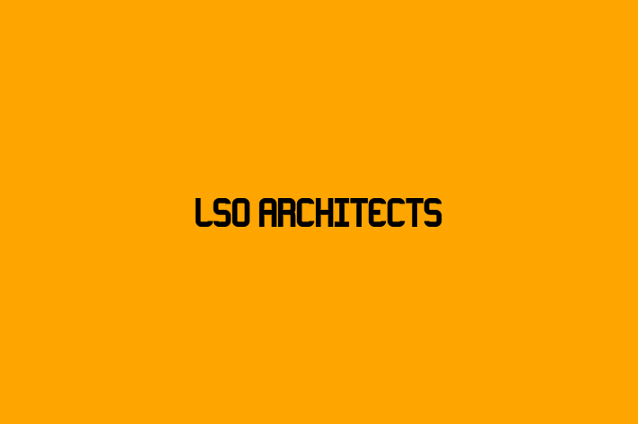 LSO Architects