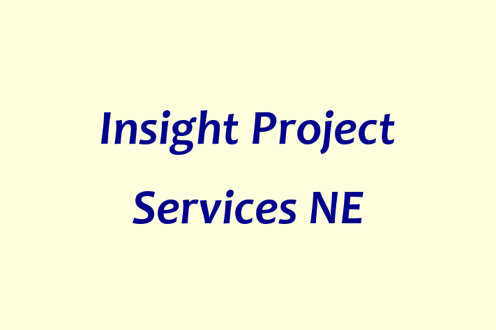 Insight Project Services NE