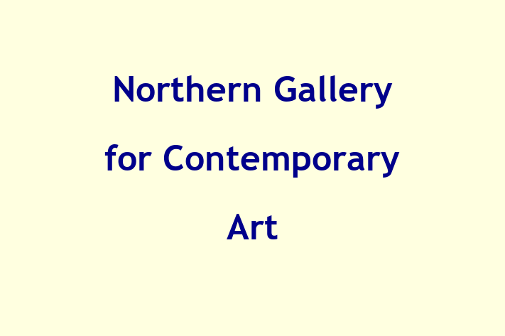 Northern Gallery for Contemporary Art