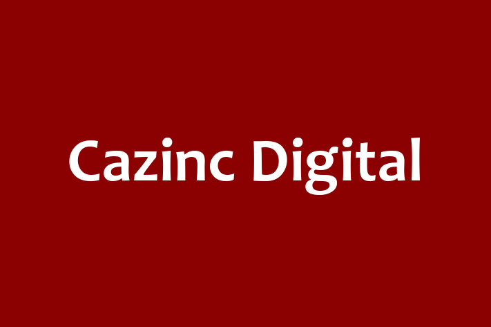 Cazinc Digital