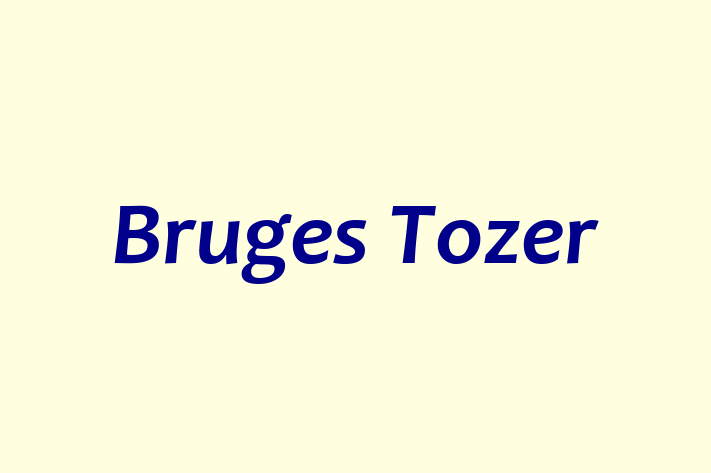 Bruges Tozer