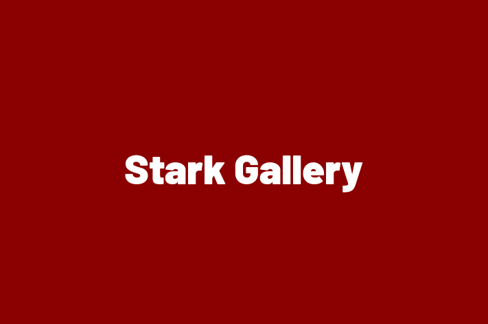 Stark Gallery