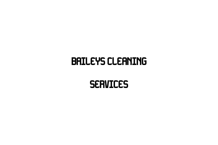 Baileys Cleaning Services