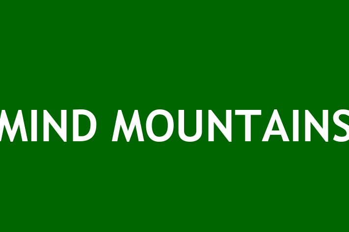 MIND MOUNTAINS