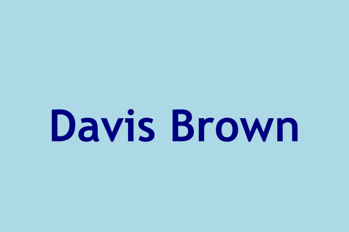 Davis Brown