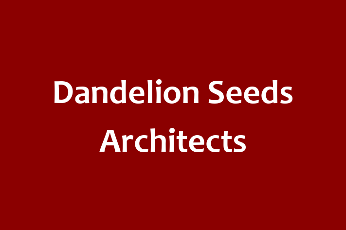 Dandelion Seeds Architects