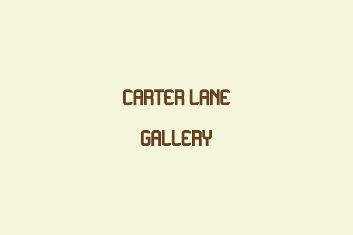 Carter Lane Gallery