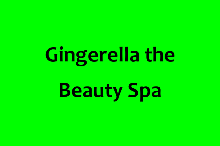 Gingerella the Beauty Spa