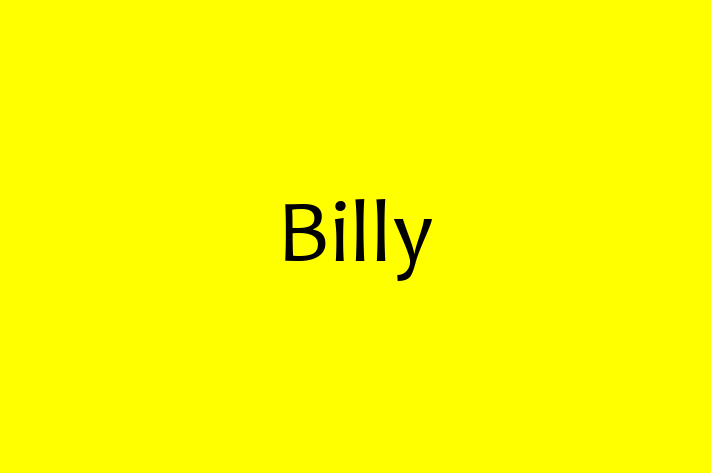 Billy Dog in Wick