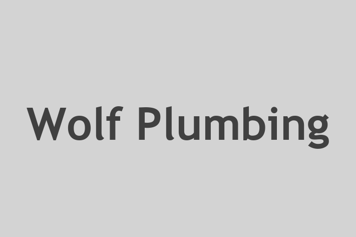 Wolf Plumbing