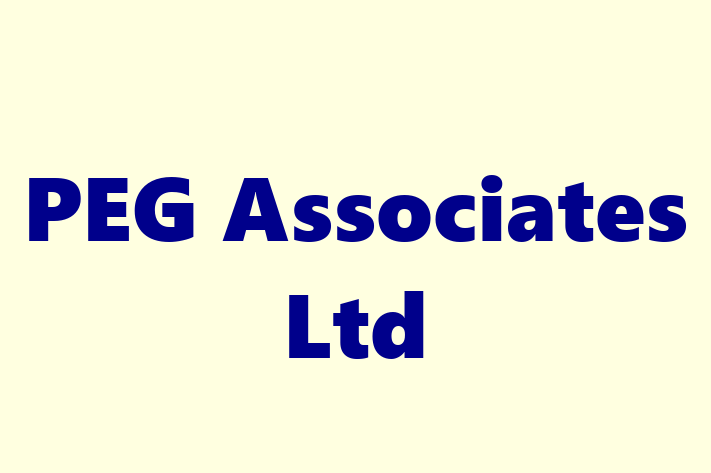 PEG Associates Ltd