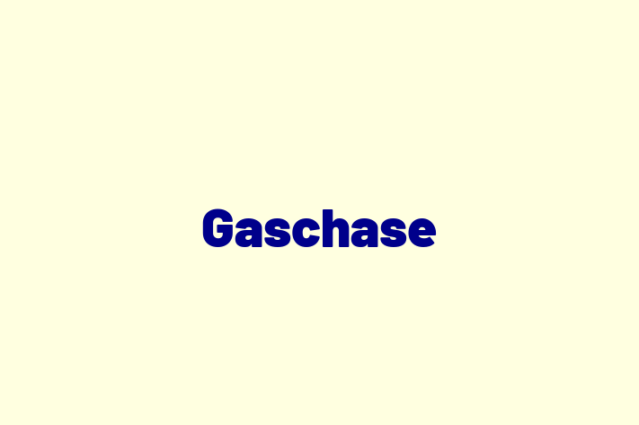 Gaschase