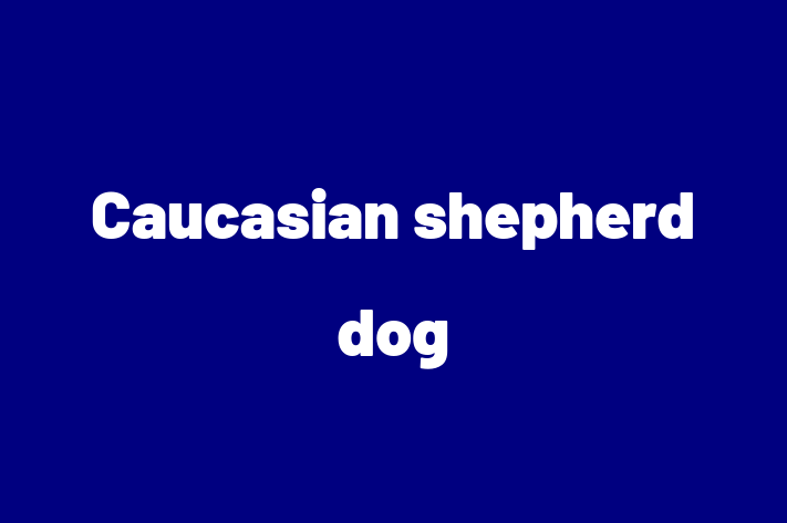 Find Your New Caucasian shepherd dog Dog in Royston