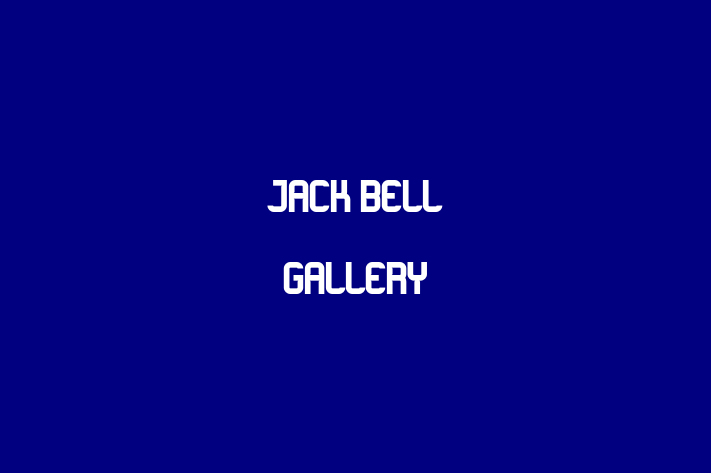 Jack Bell Gallery