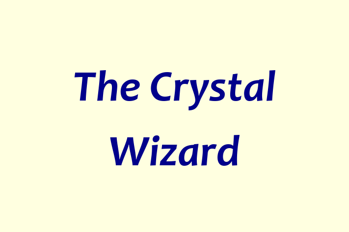 The Crystal Wizard