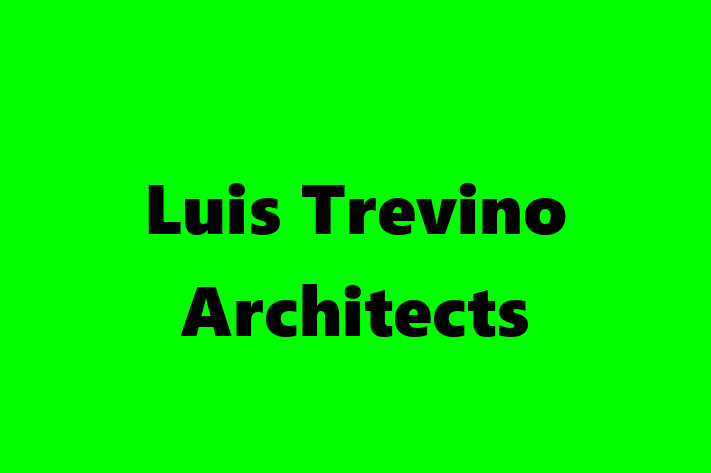 Luis Trevino Architects