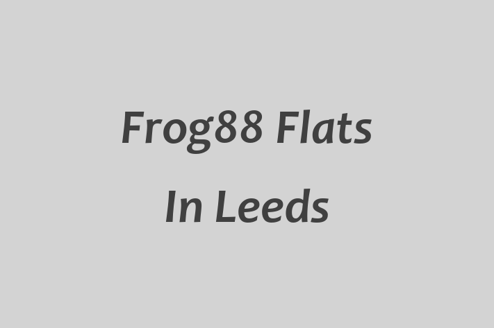 Frog88 Flats In Leeds