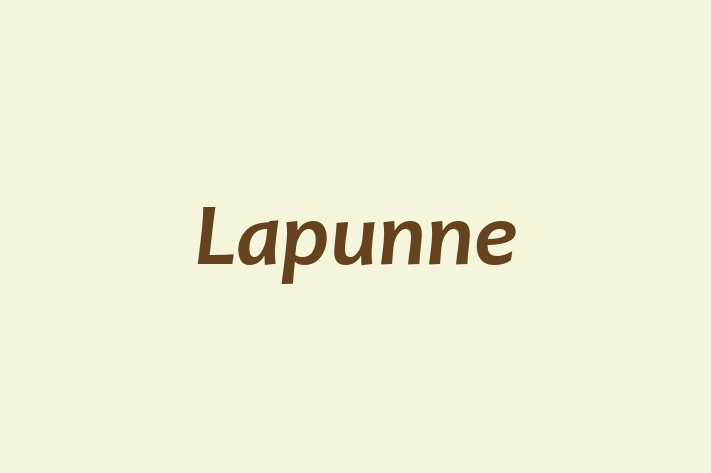 Lapunne