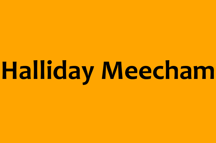 Halliday Meecham