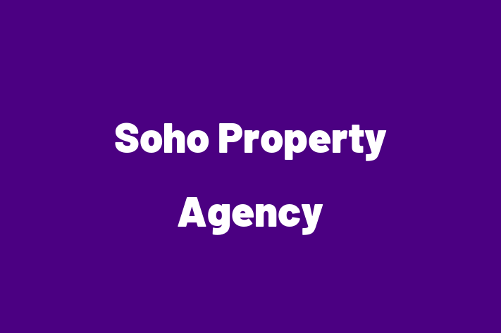 Soho Property Agency