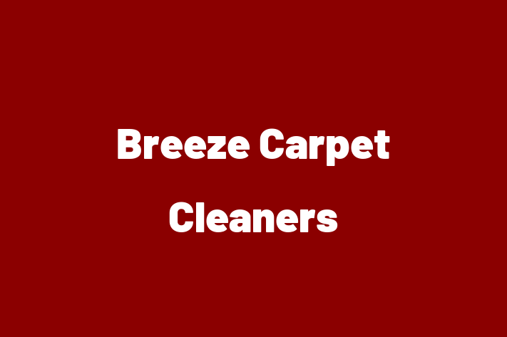 Breeze Carpet Cleaners