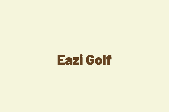 Eazi Golf