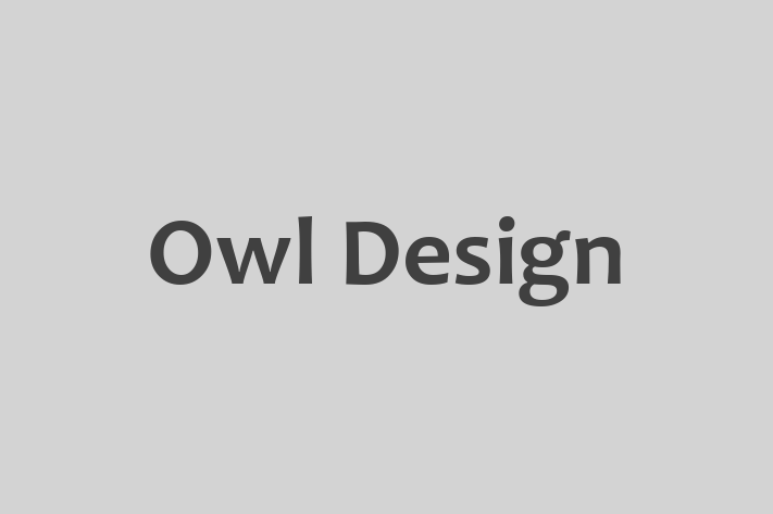 Owl Design