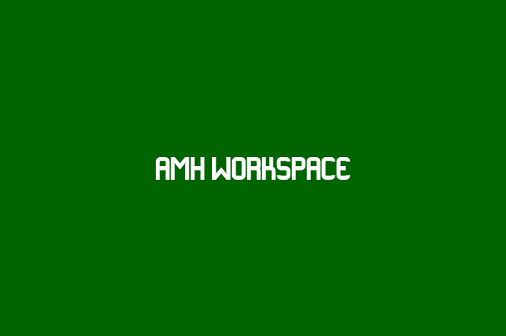 amh workspace