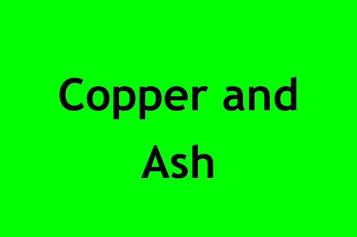 Copper and Ash